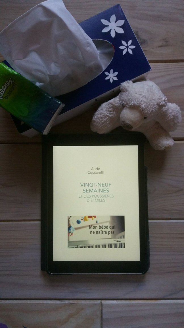 29 semaines et demi1153607905..jpg