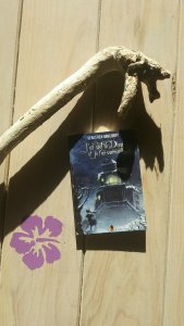 sebastien bouchery1467318388..jpg