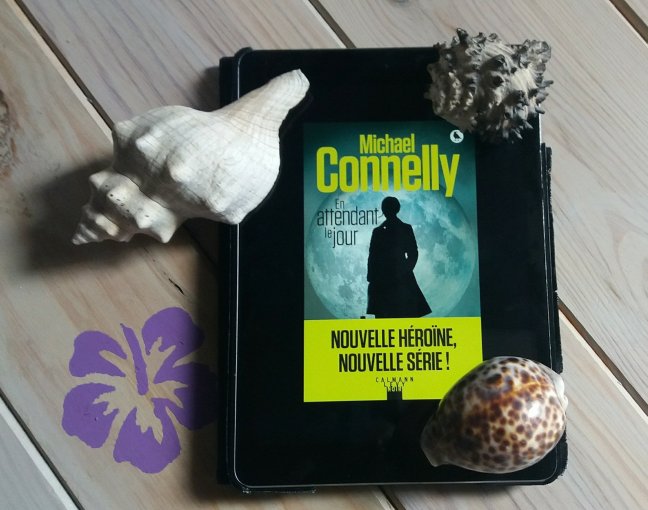 en attendant le jour-1652819572..jpg