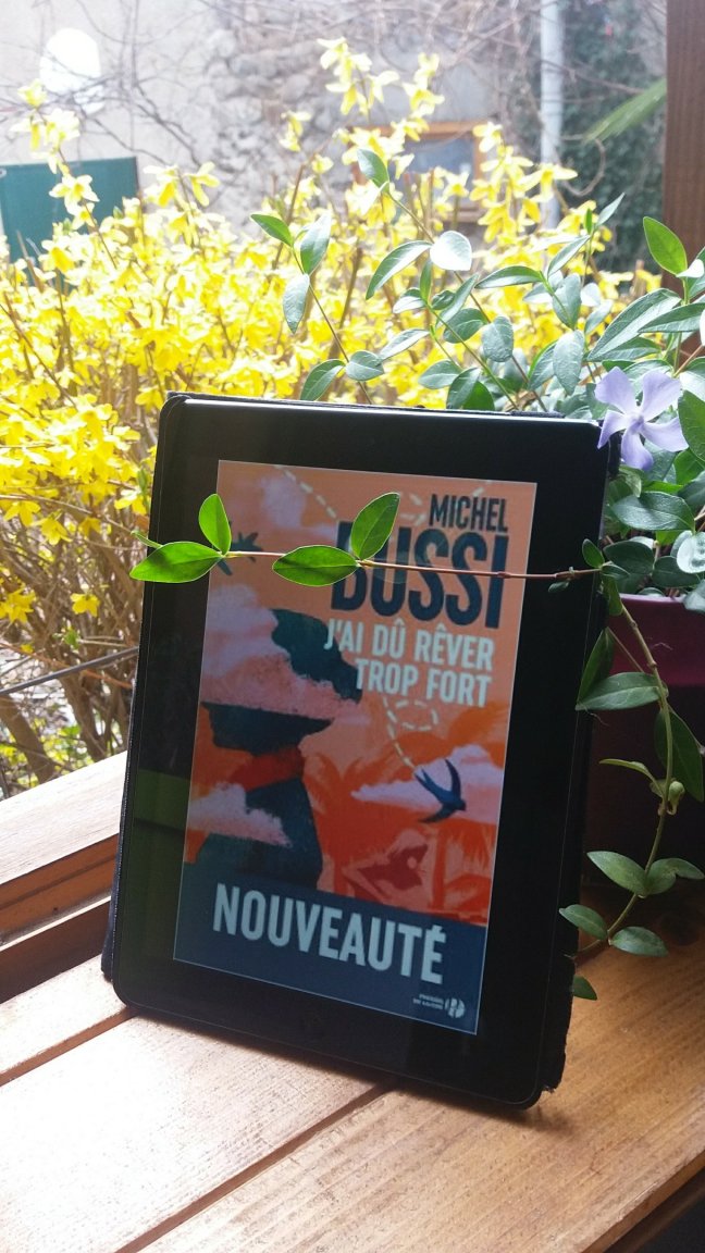 j ai du rever trop fort762075693..jpg