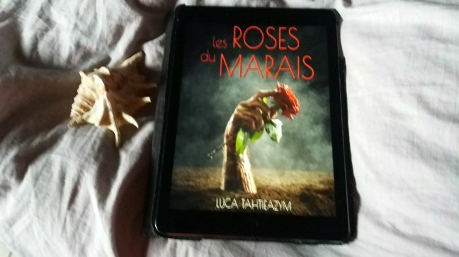 les roses du marais894291876..jpg