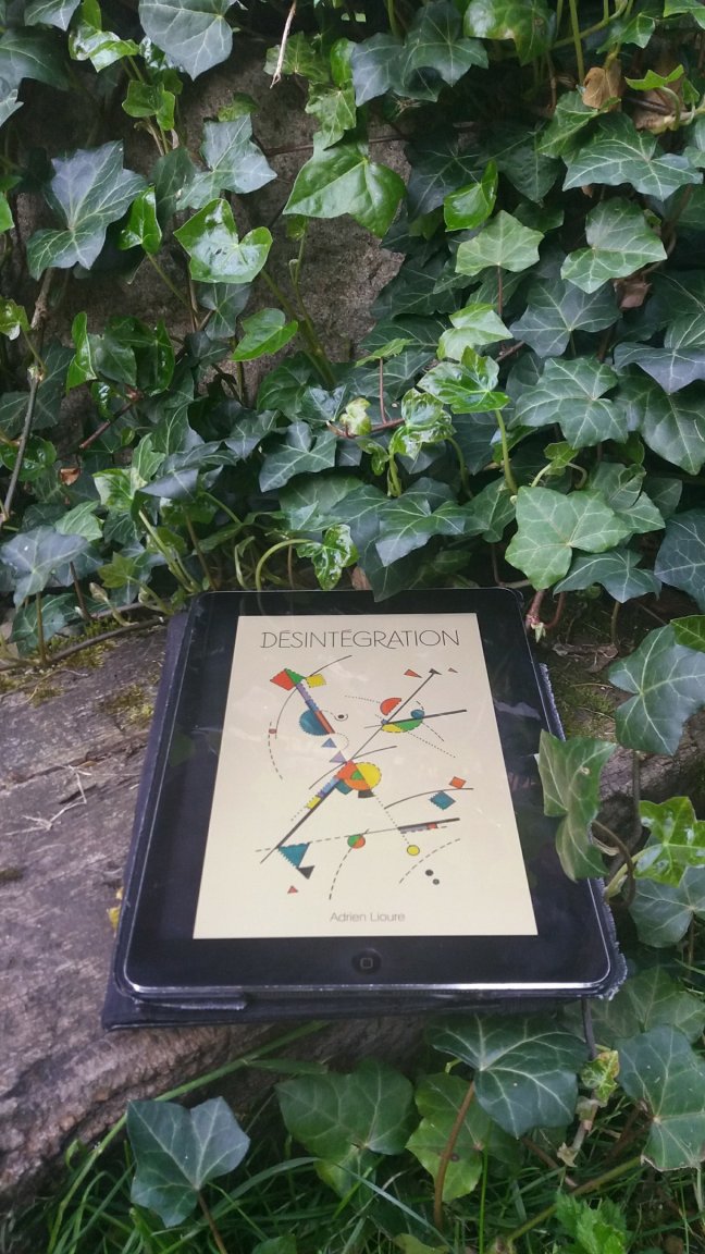 desintegration1279911848.jpg