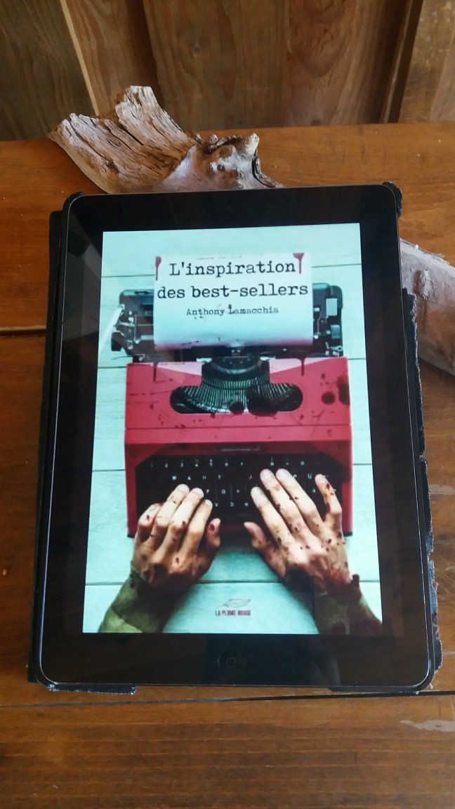 l inspiration des best sellers478225342..jpg