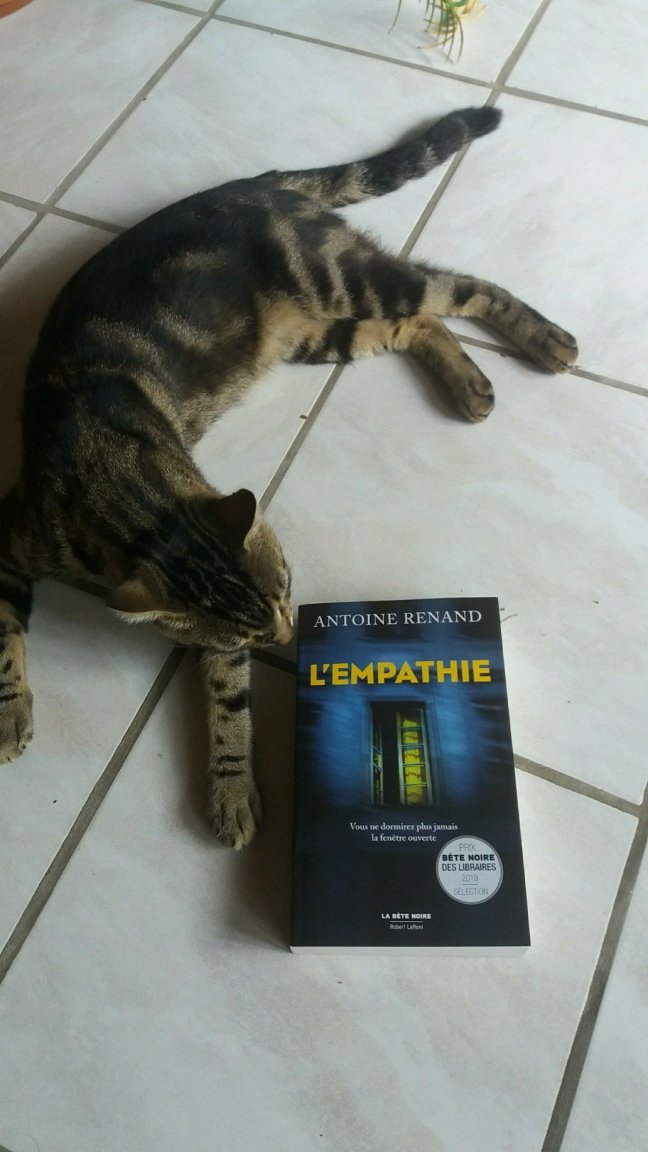 l empathie1916600425..jpg