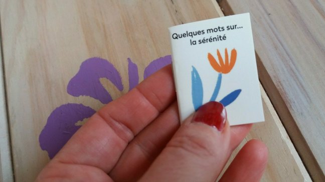 blog chroniques litteraires467552366..jpg