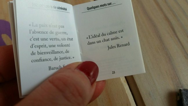 blog litteraire218200833..jpg