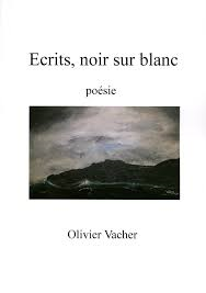couverture de : Ecrits, noir sur blanc