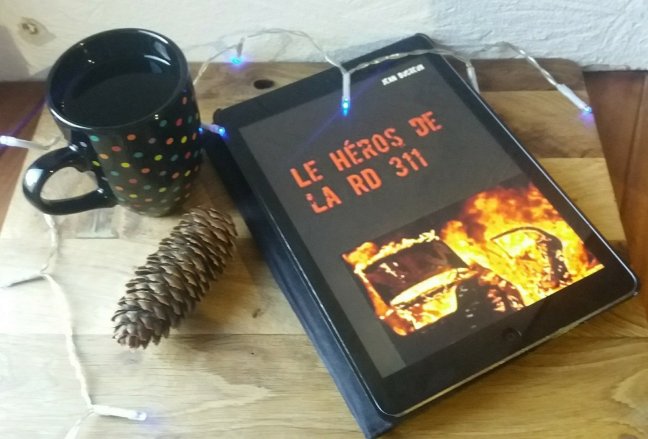 le heros de la rd 3111608190367..jpg