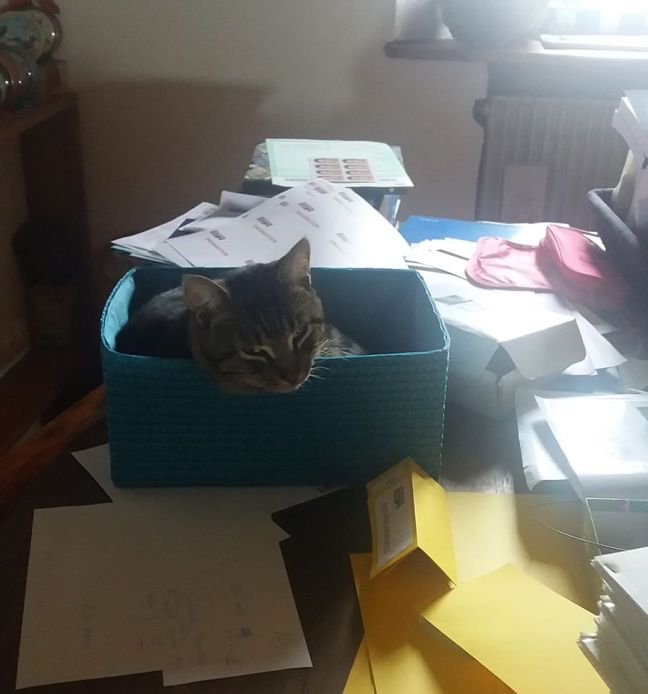 salon littéraire.jpg