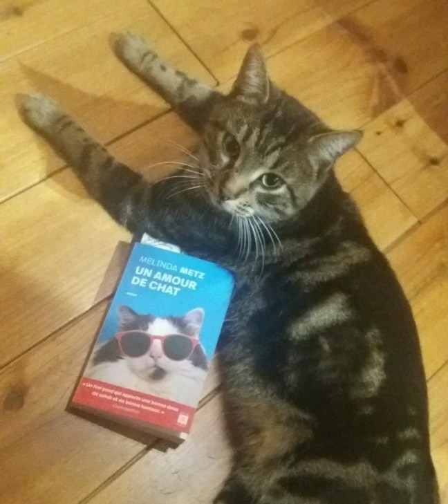 un amour de chat473075198..jpg