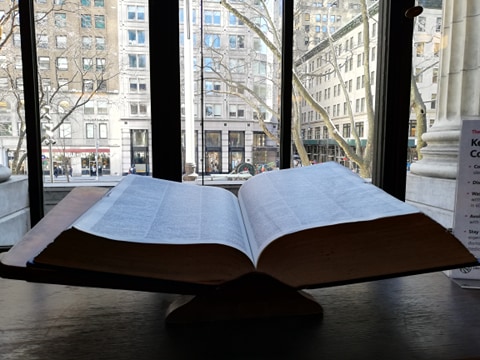 89119323_547936855837263_6321489469350346752_n