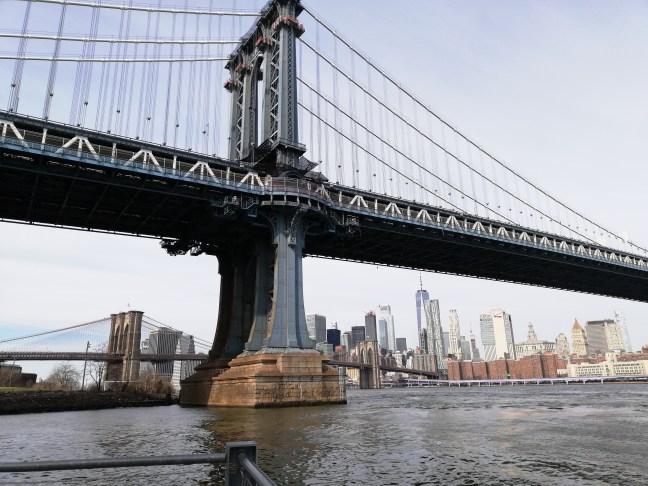 sonia boulimique des livres