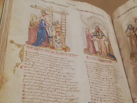 89142064_1308297106227109_3653907916282396672_n