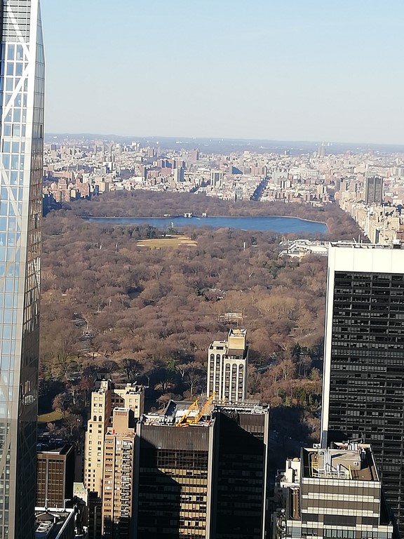 blog littéraire (5)