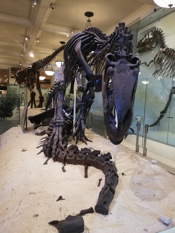 chronique littéraire (3)