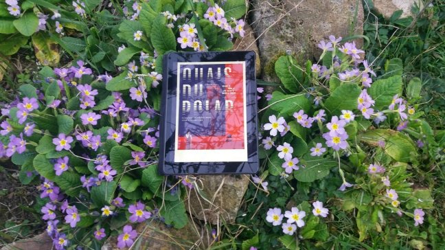 chronique litteraire 2801255409..jpg