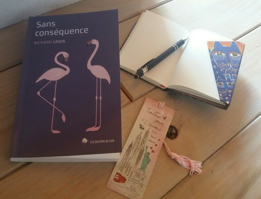 sans consequence868562523..jpg