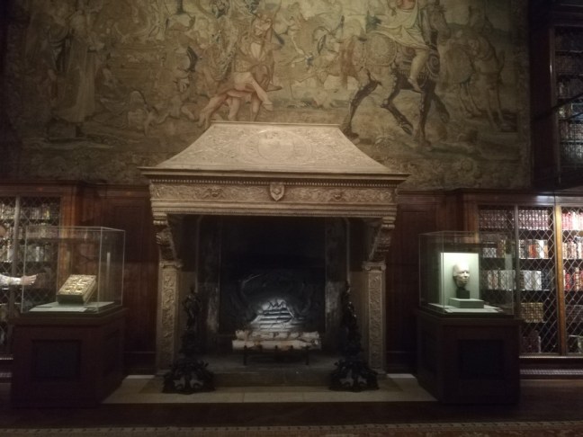 sonia boulimique des livres (25)