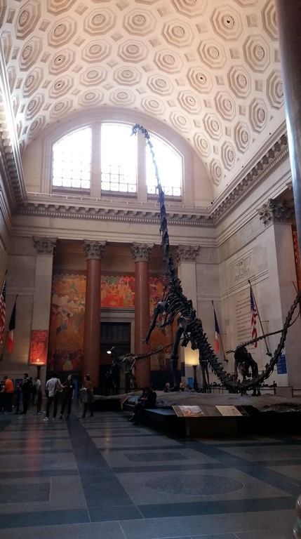 sonia boulimique des livres