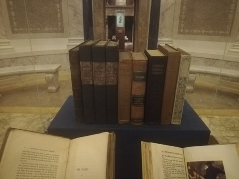 sonia boulimique des livres (6)