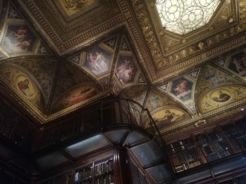 sonia boulimique des livres (9)