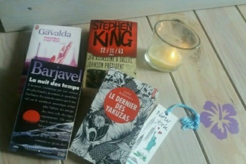 chroniques litteraires1073260870..jpg