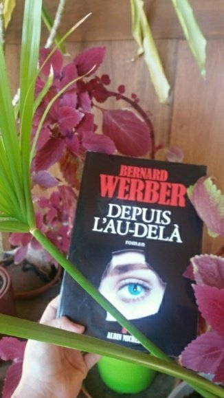 depuis l au dela1096389063..jpg