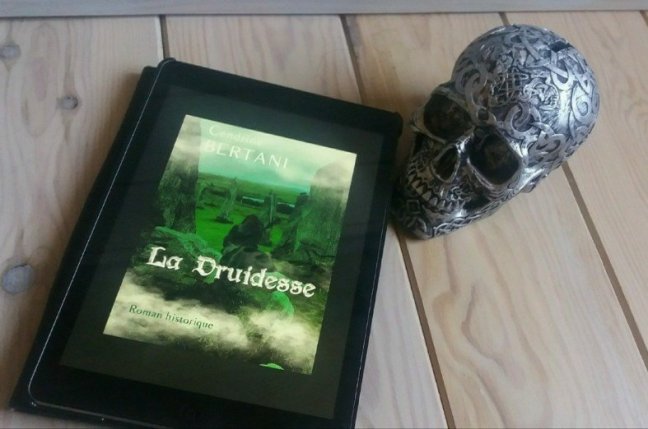 la druidesse236150473..jpg