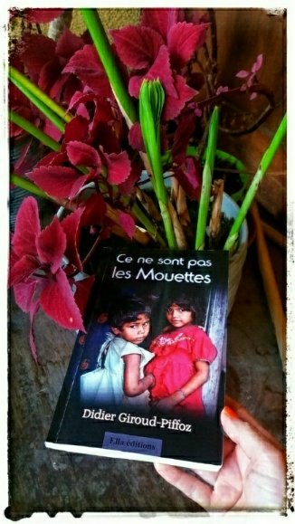 ce ne sont pas les mouettes1139448641..jpg