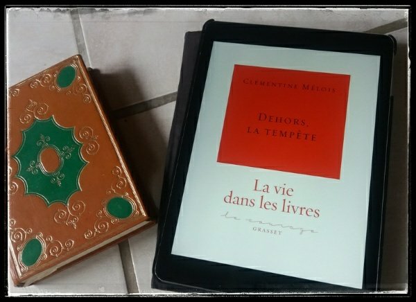 dehors la tempete1762138532..jpg