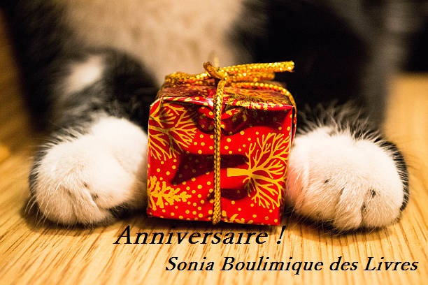 Cat paws with a red box