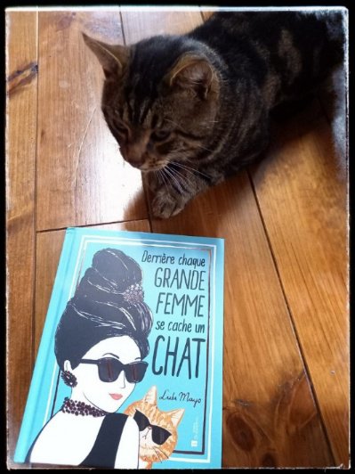 chroniques litteraires4355796350661934262..jpg