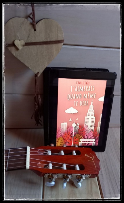 J aimerais quand meme te dire.jpeg