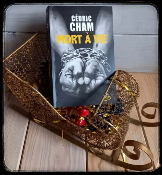 mort à vie7121541089786995381..jpg