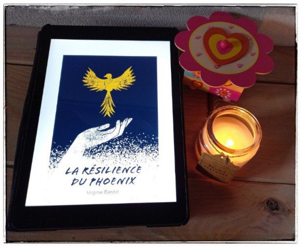 la resilience du phoenix1267885681645341351..jpg