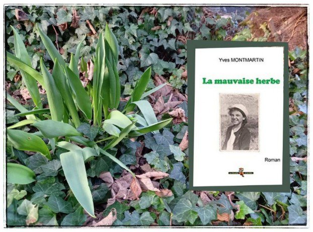 la mauvaise herbe-018981266088105818262..jpg