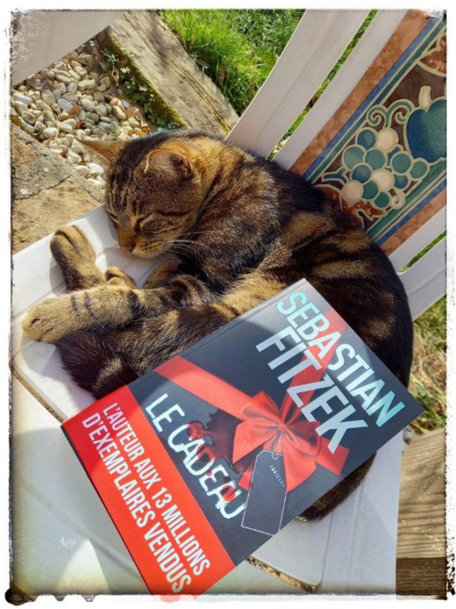 le cadeau7297473956453302662..jpg