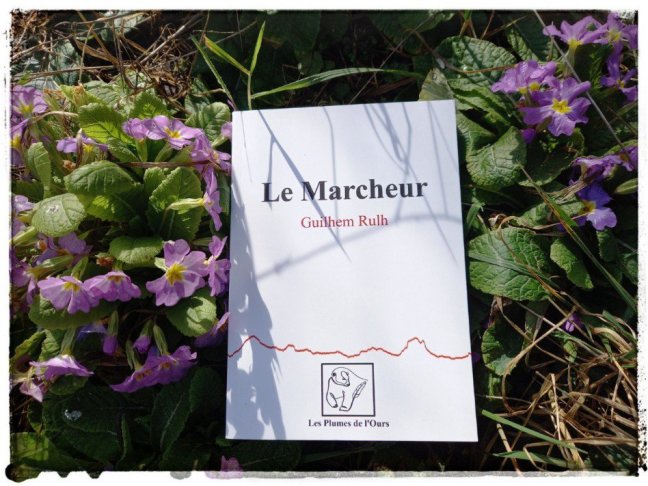 le marcheur64773080209080199..jpg