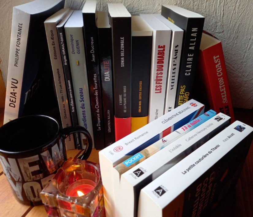 blog chroniques litteraires2258985473732071171..jpg