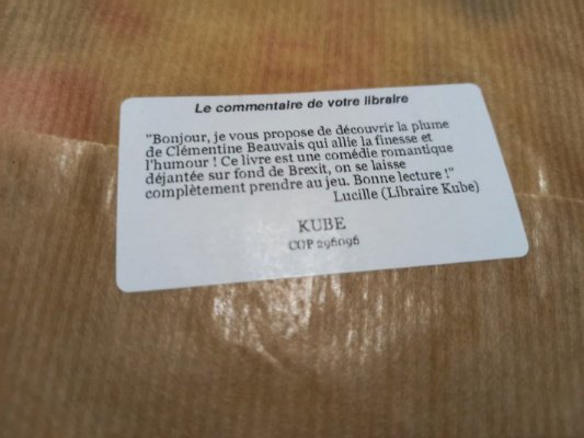 chroniques litteraires7251752778328683208..jpg