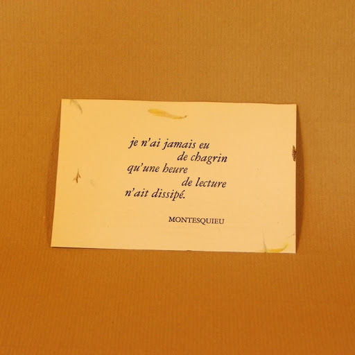 sonia boulimique des livres