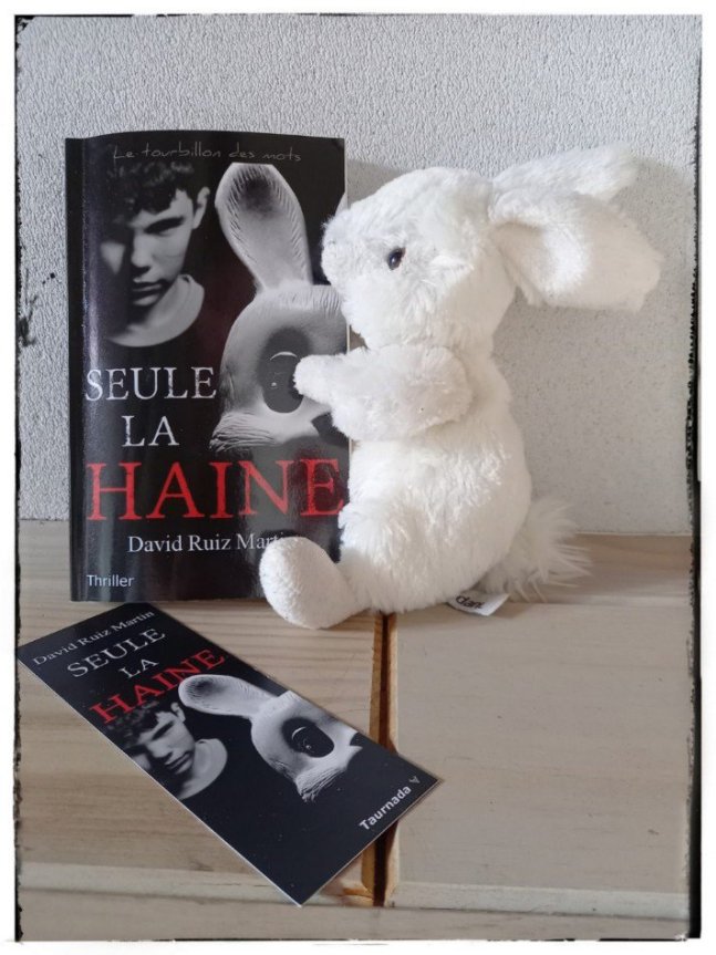 seule la haine7252601807727638988..jpg