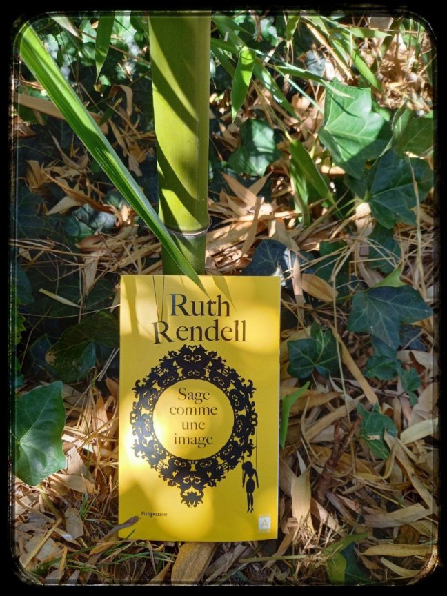 sage comme une image4121704488557184745..jpg