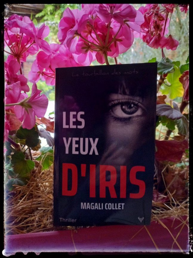 les yeux d iris4577578227355226052..jpg