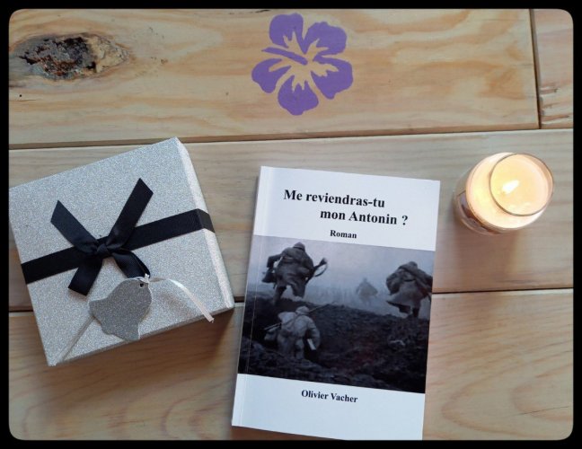 me reviendras tu mon antonin 6339846665613475054..jpg