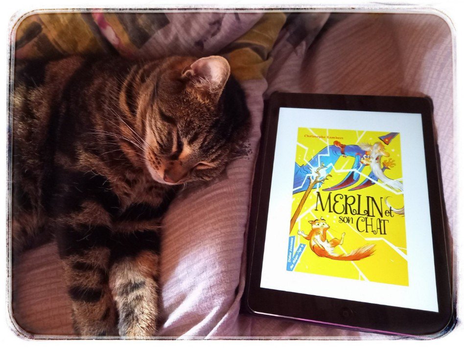 merlin et son chat3223906530247153723.