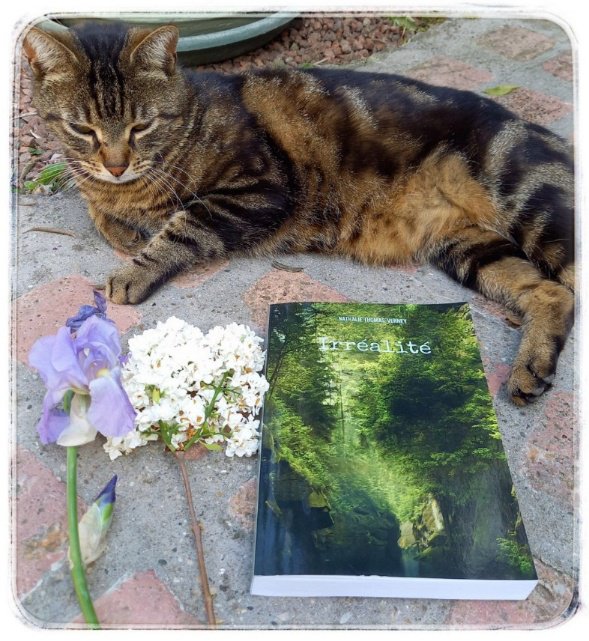 irréalité1816317086555965933.