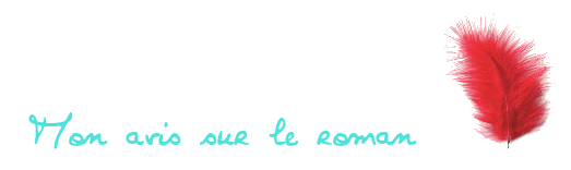 Mon avis sur le roman