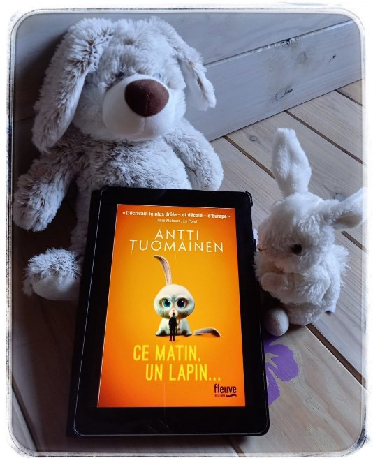 ce matin un lapin557957127135372714.