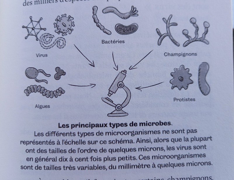 20220719_0904592476930409261160081